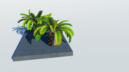 Rendering of palm treesの写真素材