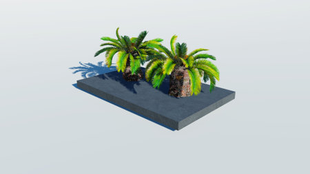 Rendering of palm treesの写真素材