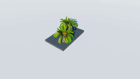 Rendering of palm treesの写真素材