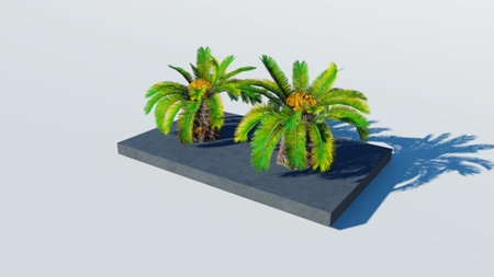 Rendering of palm treesの写真素材