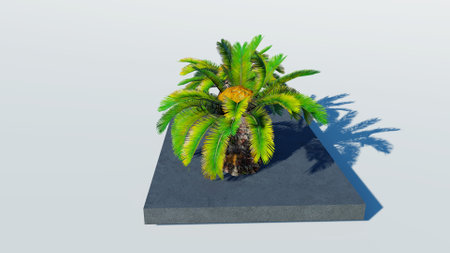Rendering of palm treesの写真素材
