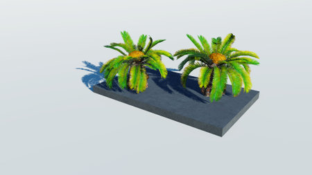 Rendering of palm treesの写真素材