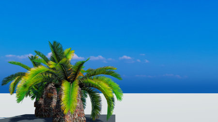 Rendering of palm treesの写真素材