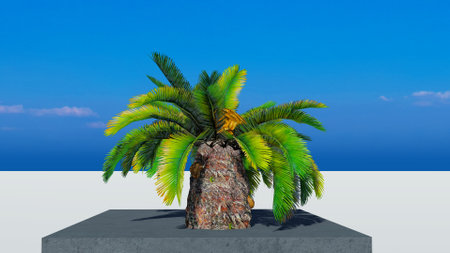 Rendering of palm treesの写真素材
