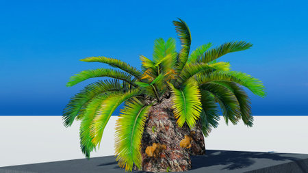 Rendering of palm treesの写真素材