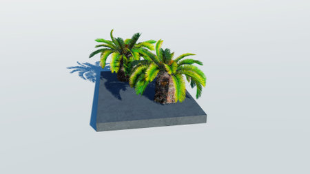 Rendering of palm treesの写真素材