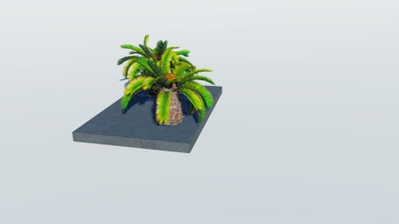 Rendering of palm treesの写真素材