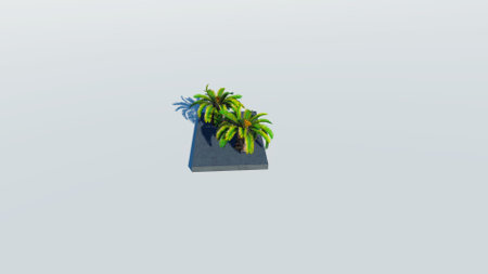 Rendering of palm treesの写真素材