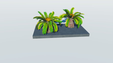 Rendering of palm treesの写真素材