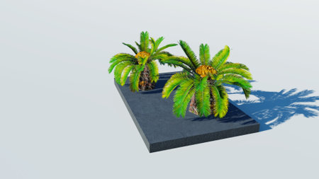 Rendering of palm treesの写真素材