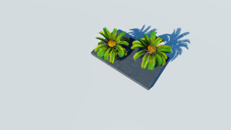 Rendering of palm treesの写真素材