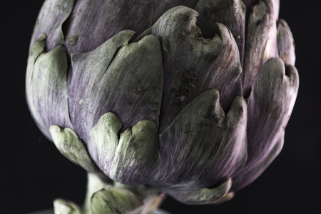 vegetable artichoke seen from very closeの写真素材