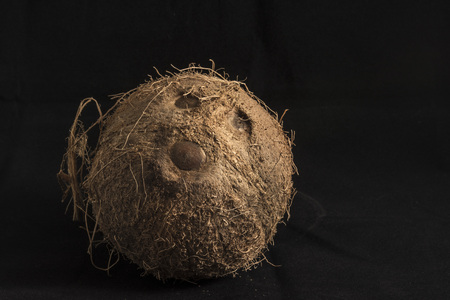 Coconut on a black backgroundの写真素材