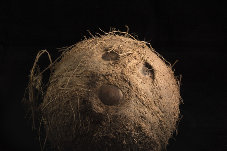 Coconut on a black backgroundの写真素材