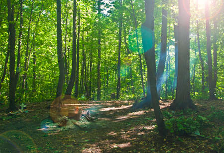 bonfire in summer forest on sunny dayの写真素材