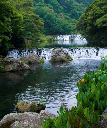 mountain forest waterfall with orange flower on rocks at foreground on Jeju Islandの写真素材