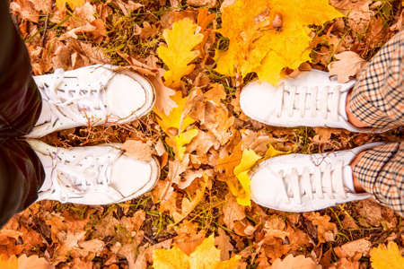 top view of male and female feet in white leather sneakers standing opposite each other on yellow and orange autumn leaves in parkの写真素材