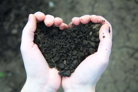 Hand holding black soil in the form of heart on soil backgroundの写真素材
