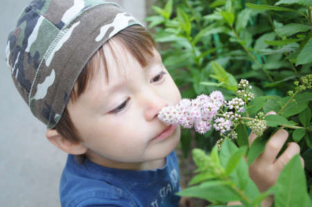 Boy smelling flower outdoor at summertimeの写真素材