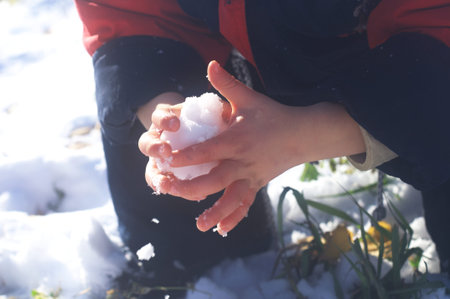 Snow in hands of child without gloves