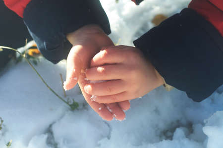 Child Hands rolling snowの写真素材