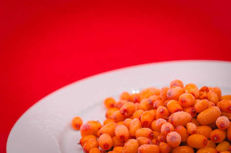 Sea-buckthorn on white plate on red backgroundの写真素材