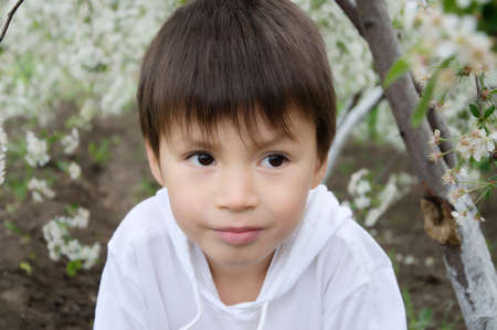 Caucasian boy portrait outdoor among the blossoming cherryy tree flowersの写真素材