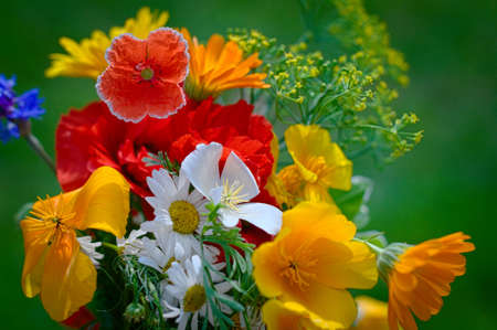 Bouquet with blossoming flowers on green backgroundの写真素材