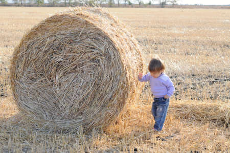 Little kids near sheaf of hay in the autumn fieldの写真素材