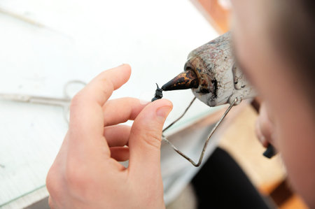 young man sculpting handmade toy bee from plastic glue, house decoration craftsmanship hobby, decor...