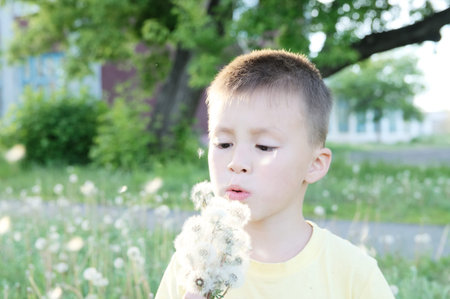 Little boy blowing dandelion flower at summer. Happy smiling child enjoying nature in park. Sun raysの写真素材