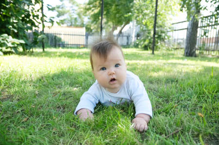 Newborn baby portrait learning crawling on grass 3 or 4 month. Baby outdoors on backyardの写真素材