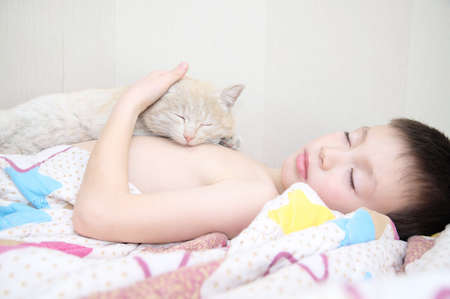 boy sleep with cat, favorite pet lying on child chest,
Interactions between children and Catsの写真素材