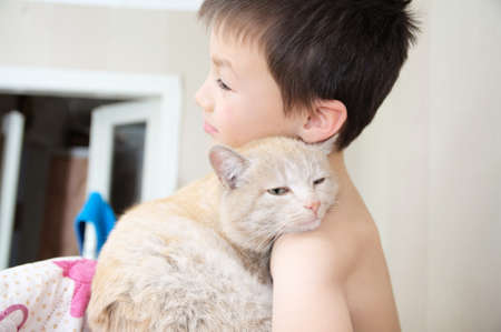 boy embracing with cat after waking up, favorite pet on child hands,Interactions between children and Catsの写真素材