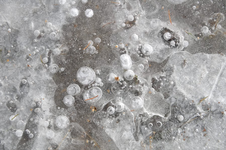Winter background with frozen leaves and bubbles in ice. Natural phenomenon in north climate. Cold...