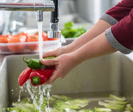 Hand washing fresh vegetableの写真素材