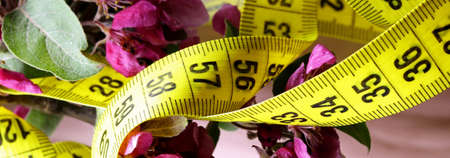 diet concept with measuring tape and flowerの写真素材