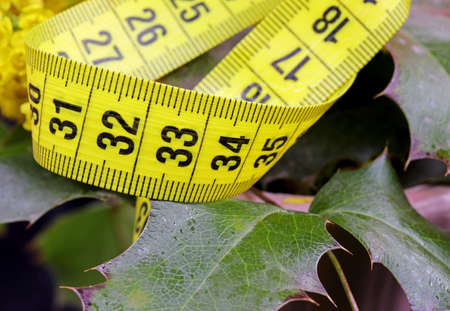 diet concept with measuring tape and flowerの写真素材
