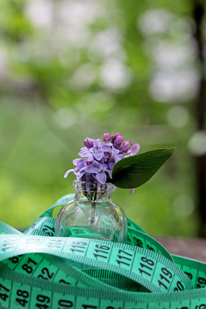 lilac flowers in a vase in the gardenの写真素材