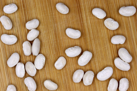 organic dried white beans on a background