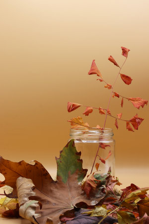 autumn theme with dried leavesの写真素材
