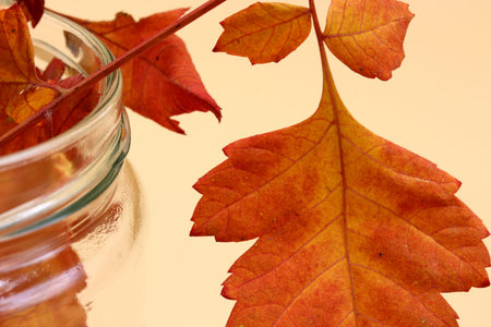 autumn theme with dried leaves