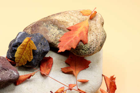 autumn theme with dried leaves and stonesの写真素材