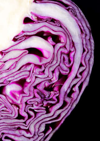 red cabbage on black backgroundの写真素材
