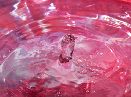 close-up photo of water dropの写真素材