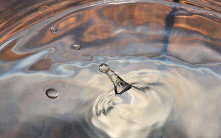 close-up photo of water dropの写真素材