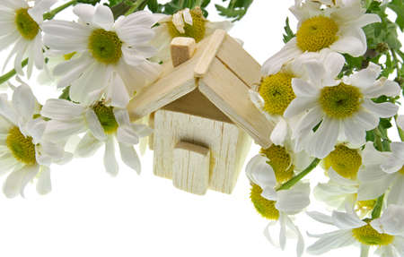 wooden model house with flowers on white backgroundの写真素材