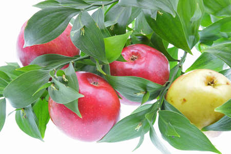 organic and fresh apples on a backgroundの写真素材