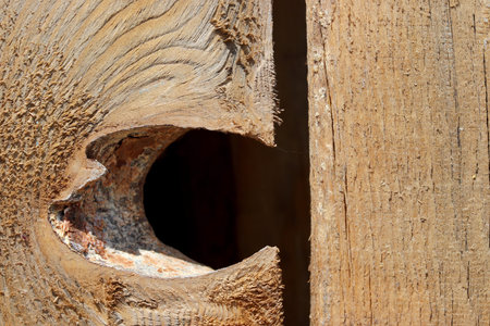 close-up old wood texture background
