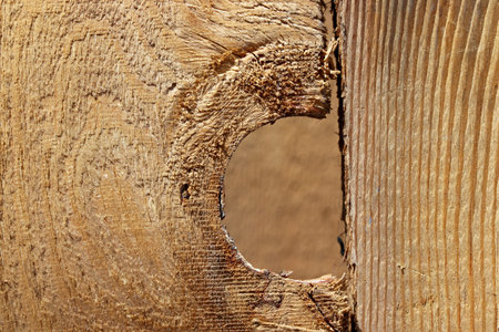 close-up old wood texture backgroundの写真素材